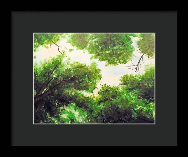 Leaf Lite ~ Framed Print