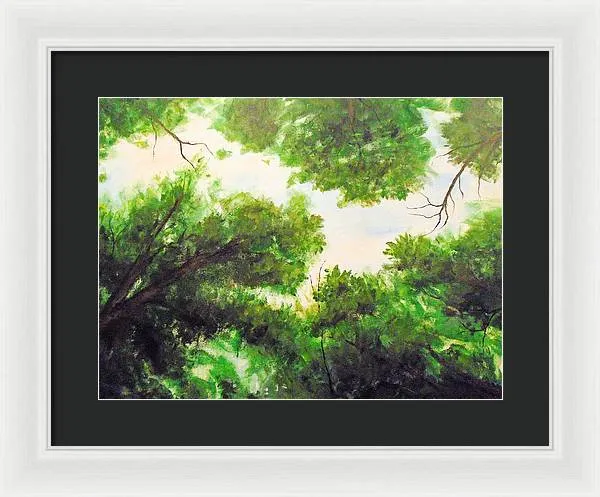 Leaf Lite ~ Framed Print