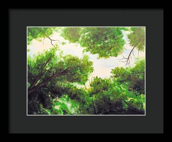 Leaf Lite ~ Framed Print