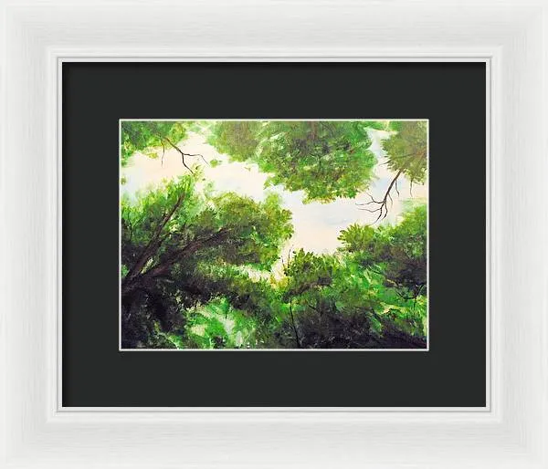 Leaf Lite ~ Framed Print