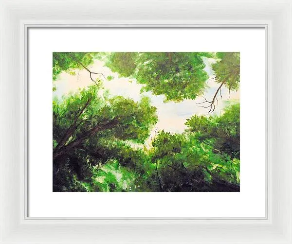 Leaf Lite ~ Framed Print