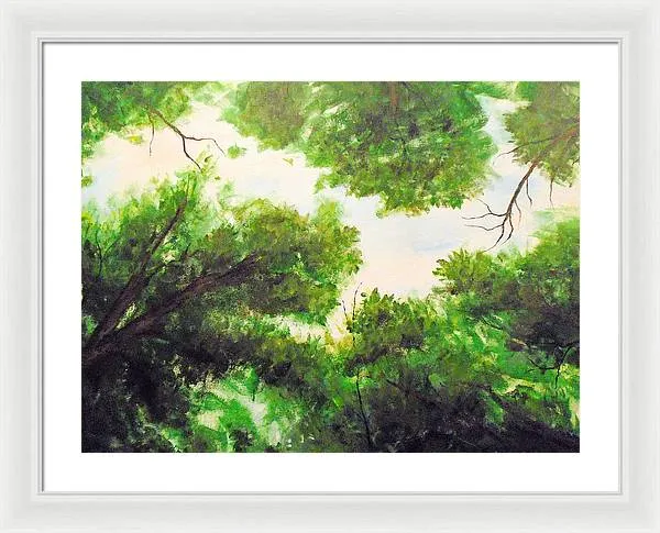 Leaf Lite ~ Framed Print