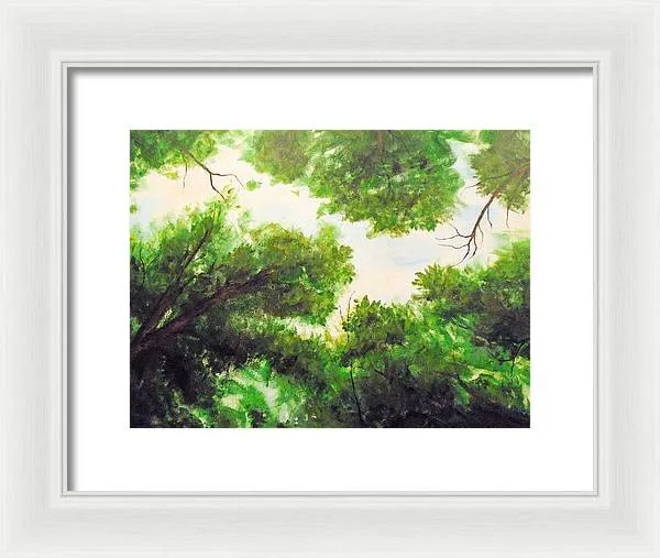 Leaf Lite ~ Framed Print