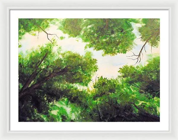 Leaf Lite ~ Framed Print