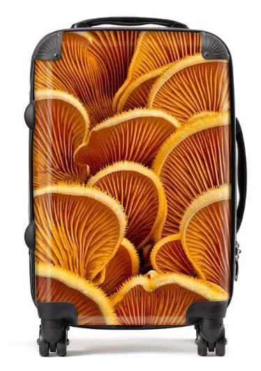 Mushrooms Suitcase / Luggage