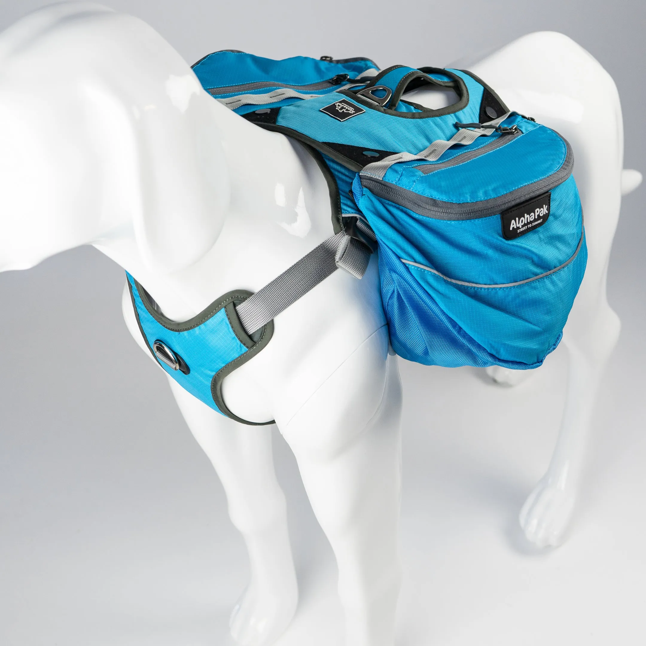 Pathfinder EZ Latch™ Dog Pack (2-piece) - Wholesale