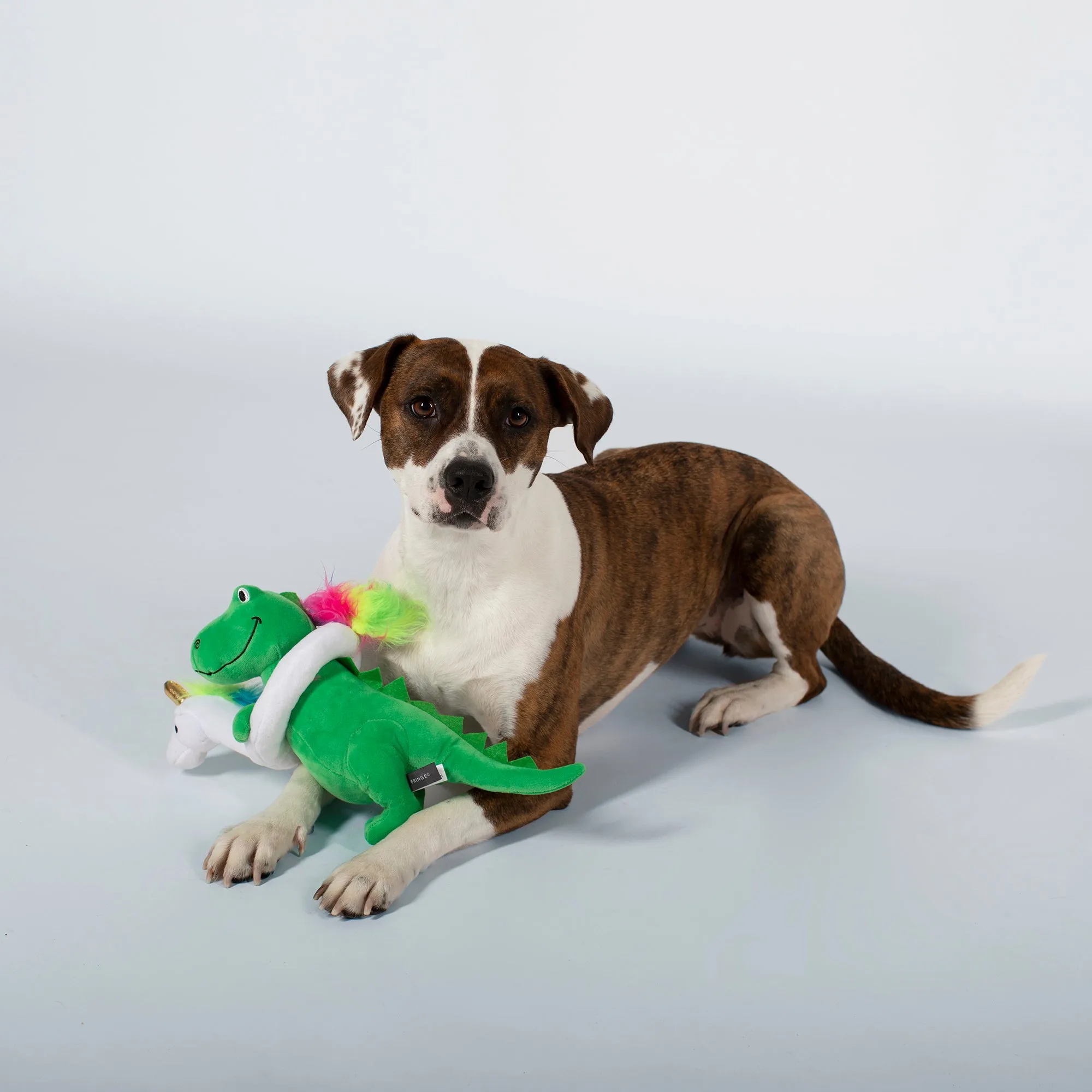 Summer Time Rex Squeaky Plush Toy