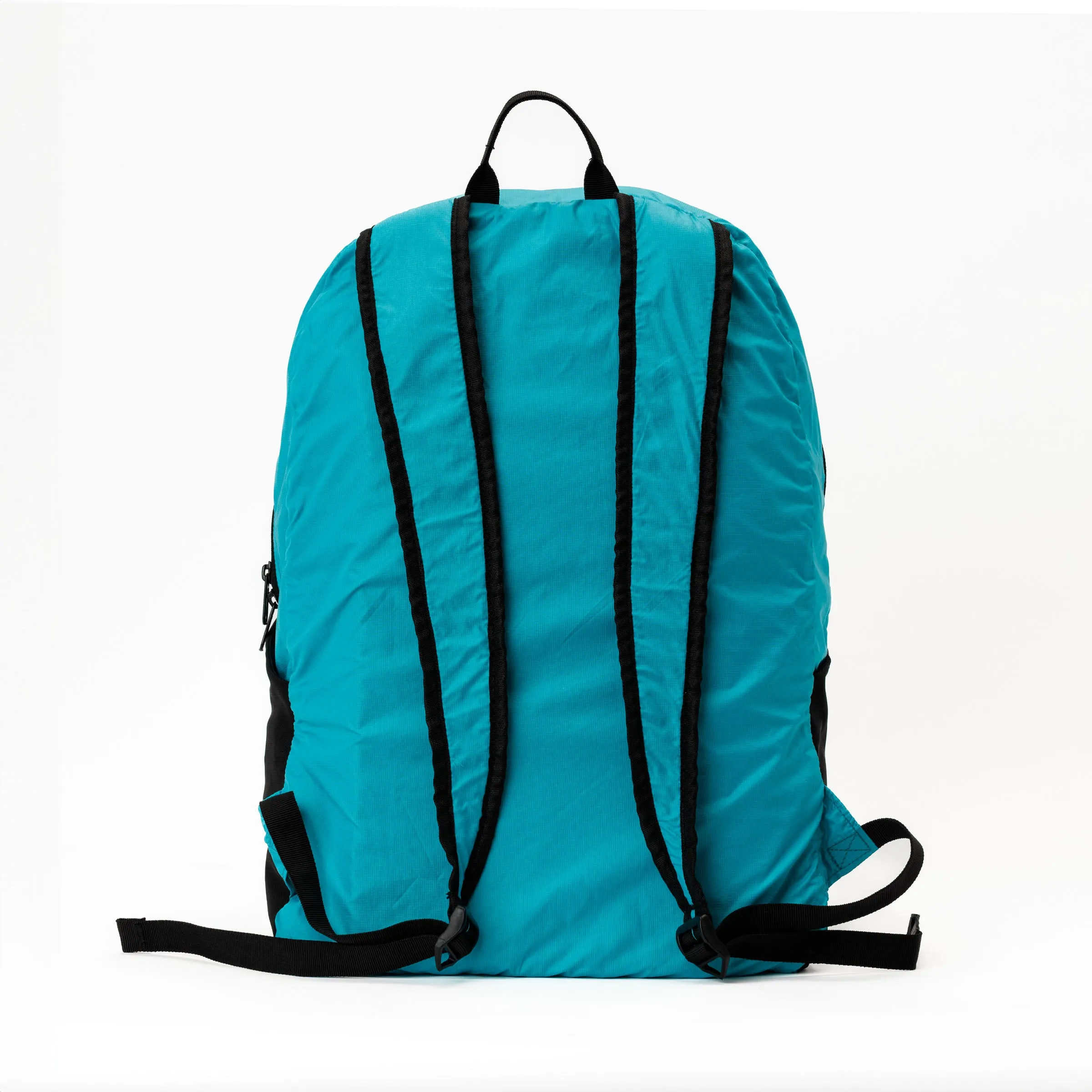 Swathi Backpack