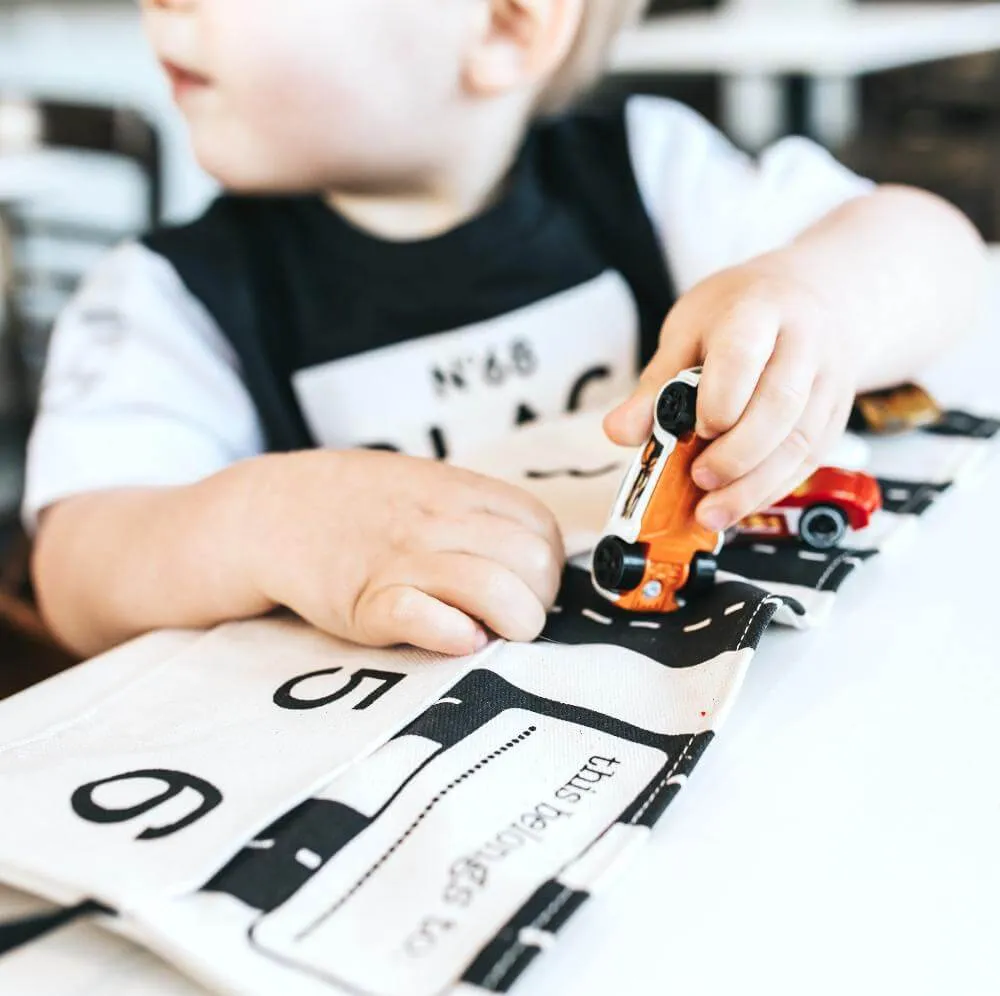 Toy Car Storage: "My son loves it! Great for traveling!"